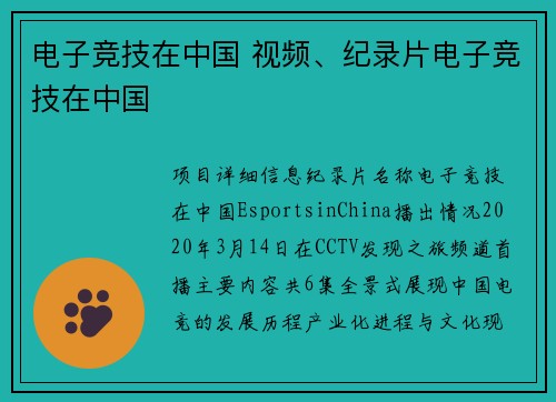 电子竞技在中国 视频、纪录片电子竞技在中国